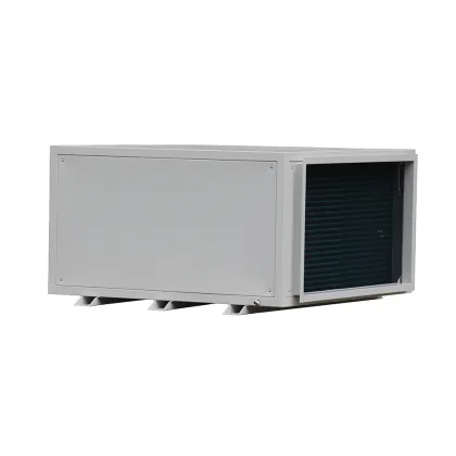 ZHONGYOU Air-Cooled Ceiling Type Industrial Thermostat Fixed Cooling Dehumidifier