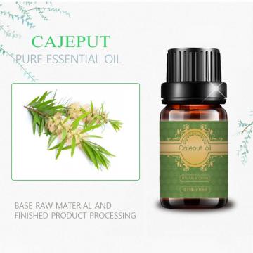 Organic Certified Cajeput Essential Oil for bulk purchase