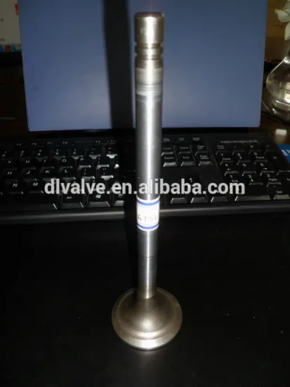 Engine valve for toyota 2C