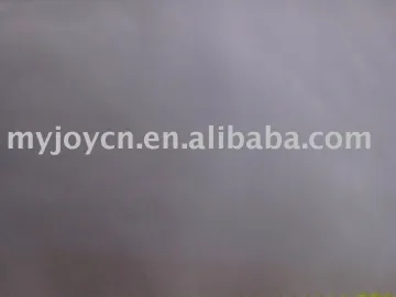100% Nylon 66 Fabric