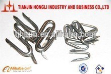 factory price for galvanzed fence staple u type brad nail