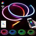 IP67 Waterproof Colorful Flex Neon Light Led Strip Light For wall Decoration
