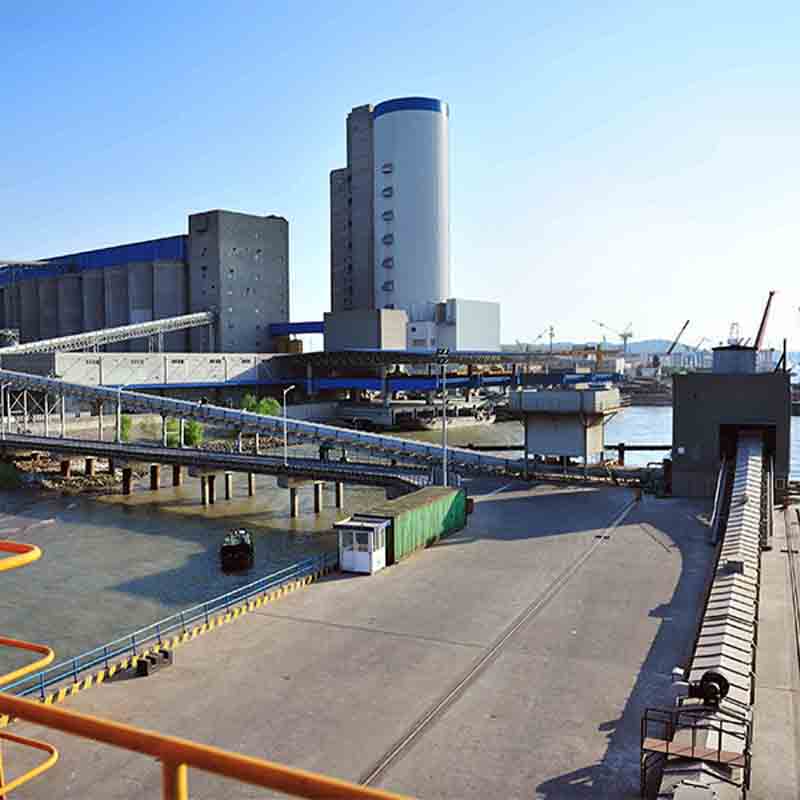 Mining Plant Handling Conveyor