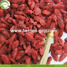 Factory Supply Healthy Super Food Anti Tumor Goji