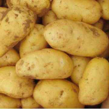 2020 new crop Fresh potato