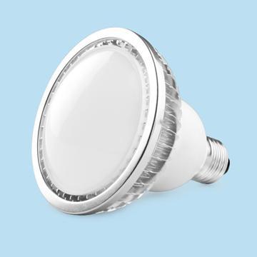9W Aluminum LED PAR Light