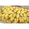 Máquina de batata de batata de batata de batata comercial