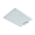 LED DE CLUS LED pour les plantes intérieures Spectre complet