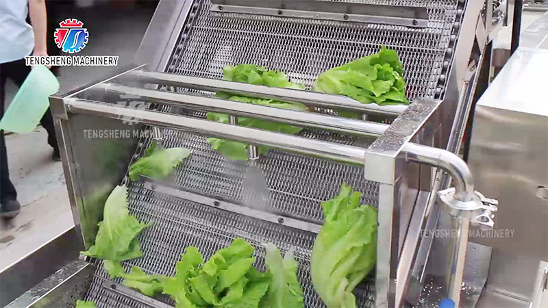 industrial vegetable washer