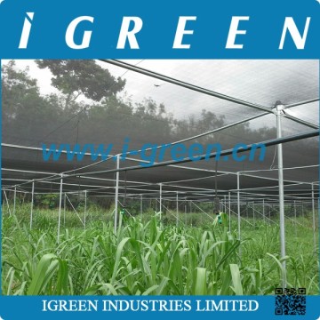 Agricultural black shade net house