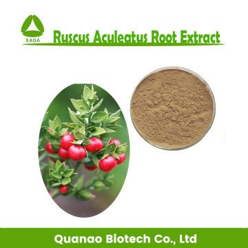 Ruscus Aculeatus Root Extract Ruscogenins Powder