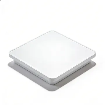 Ceiling lamp with soft ambient brightness