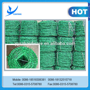 electro and hot dipped razor barbed wire