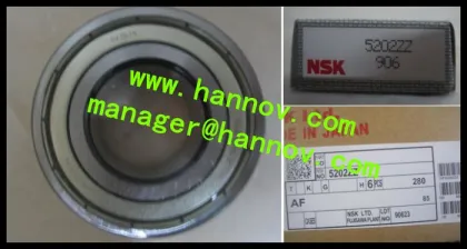 NSK bearings