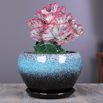 Großhandel beste glasierte Pflanze Keramik Töpfe für Sukkulenten
