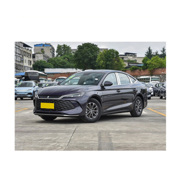 Wholesale Prices for BYD Qin LDM 2024 80KM Used EV Cars