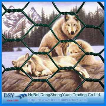 Brightly Hexagonal Wire Mesh
