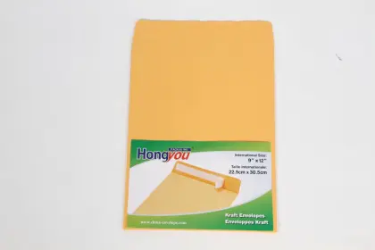 Kraft P&S Envelope