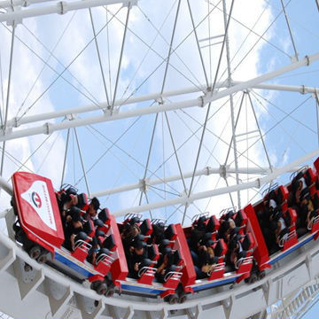 [TZY] Chinese Manufacture Amusement Equipment Roller Coaster