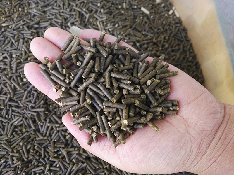 Animal Feed Pellet