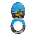 Duroplast Toilet Seat Soft Close in undersea pattern