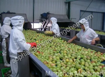 Apple Juice Production Line