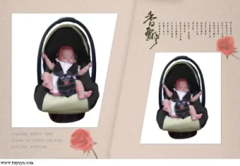 infant car carrier