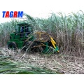 Newest Best price Sugarcane Combined Harvester