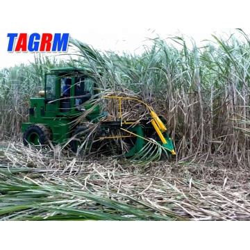 Newest Best price Sugarcane Combined Harvester