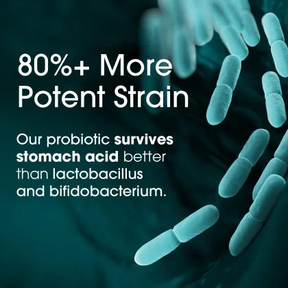 Nutrition Essentials Probiotics with Lactase Enzyme