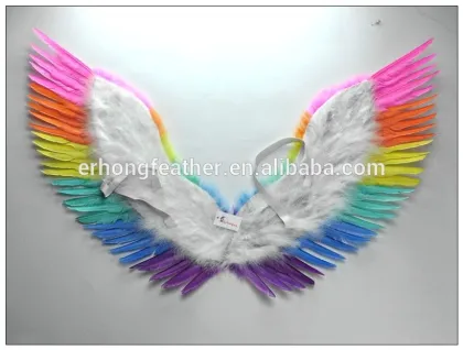 New Design Feather Wing