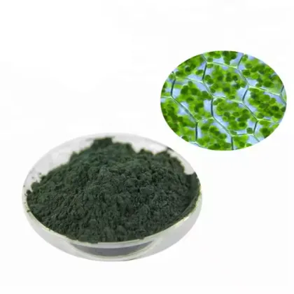 Certificated Chlorella Powder Natural Chlorella