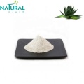 Hot Selling Cosmetic ingredients Aloe gel lyophilized 1:1 Aloe vera gel powder Supplier