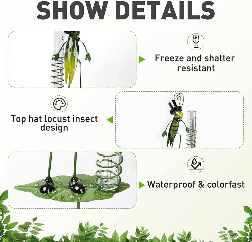 Plan de jauge de pluie pour décor de jardin de jardin