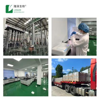 Pure Natural Organic Apple Juice Powder Apple Extract