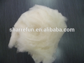 Best quality chinese scoured sheep wool price