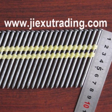 Hot dipped galvanized plastic strips nails
