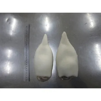 Customizable Factory Price For Sale 5 Kg Frozen Seafood Squid Seafood Giant Squid Tube