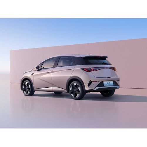 2025 Byd Dolphin 520 км Knight Edition