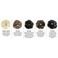 Control Blood Sugar Food of Black Garlic