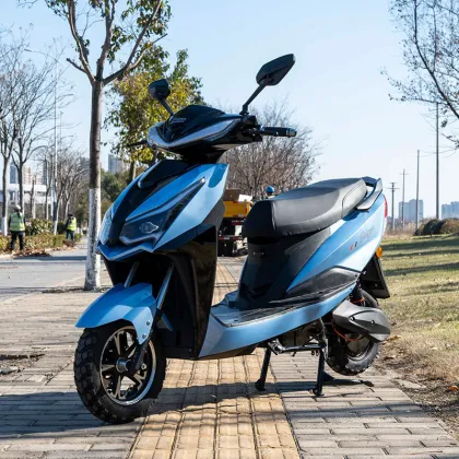 OEM-Centric Custom E-Moped CKD Kits | Flexible Configuration & Bulk Pricing