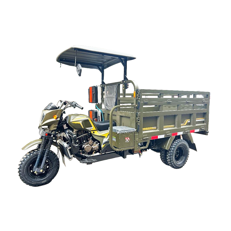 Stylish Three Wheeled Motorcycle for Urban Commuting