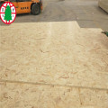 Construction use cheap price wood panels OSB 11mm