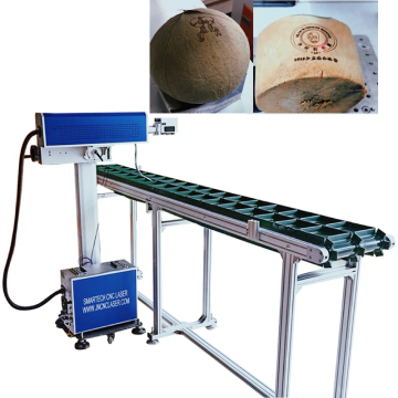Direct Manufacturer Laser Marking Machine for Coconuts