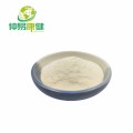 Pumpkin Seed Protein 60% Powder Pure Natural