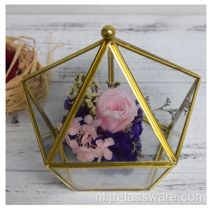 Woondecoratie Geometrisch Glas Terrarium Ecologisch