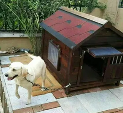 All-Weather Waterproof Dog House