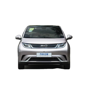 2025 BYD Dolphin 560km Range New Energy Electric Car - Chinese Import