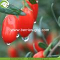 Factory Wholesale Fruit Products Bulk Wolfberry