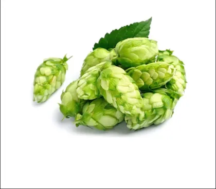 Hop extract hop flower extract hop extract powder